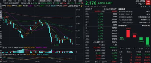 宝新能源（000690）主力资金动向分析