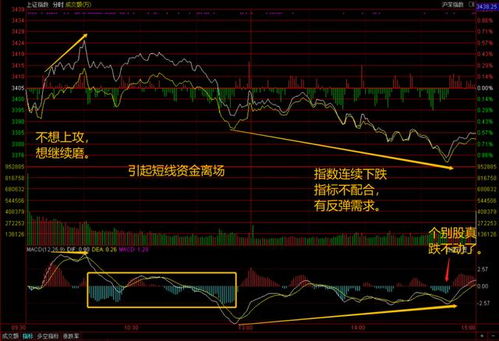 立新能源（）月日主力资金净卖出万元