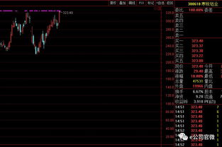 迅游科技（）月日主力资金净卖出万元